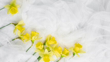 long banner floral concept. spring yellow flowers in the form of a frame on a white tulle fabric. simple flat lay, copy space