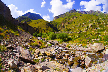 Cold clear stream in Chegem gorge