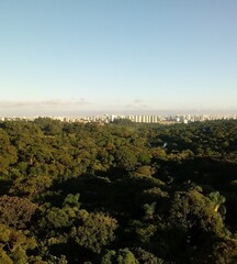 Naklejka premium Nature with city in the background