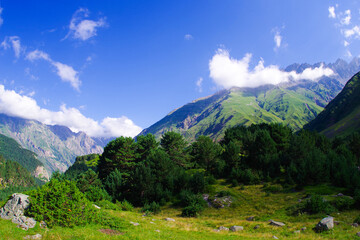 Fototapeta premium Mountain valley in the Cherek-Balkarsky river gorge in the vicinity of Ushtulu