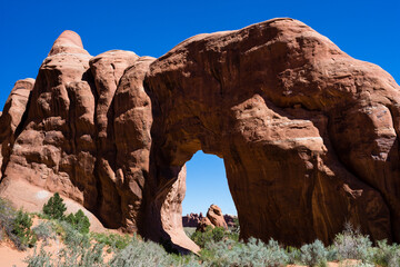 Pine Tree Arch in Arches National Park - Moab, Utah, USA