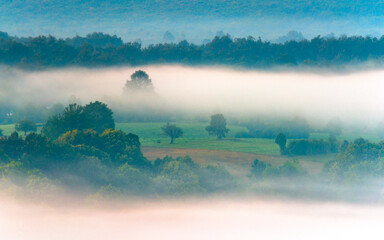 mist over the hill