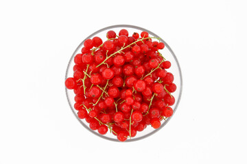 Red currants in a plate on a white background. Top view, vertical frame.