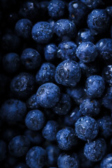 blueberries in a bowl