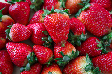 Whole Strawberries fresh and organic