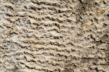 Dinosaur skin texture (very similar).