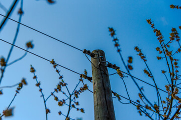 2021_03_27 telegraph pylon