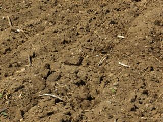 Ploughed fallow field