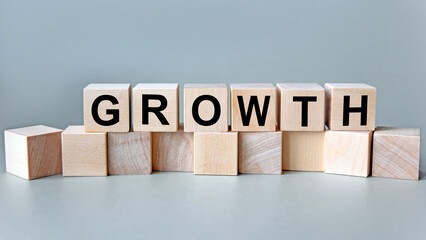 growth, the inscription on wooden cubes on a white background