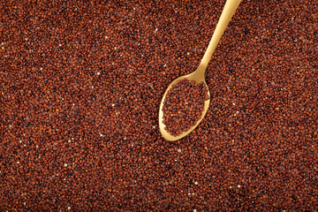 Organic Red Quinoa, dry groats in golden spoon, closeup. Design elements, copy space