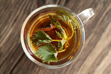 Fresh nettles in a cup of herbal tea