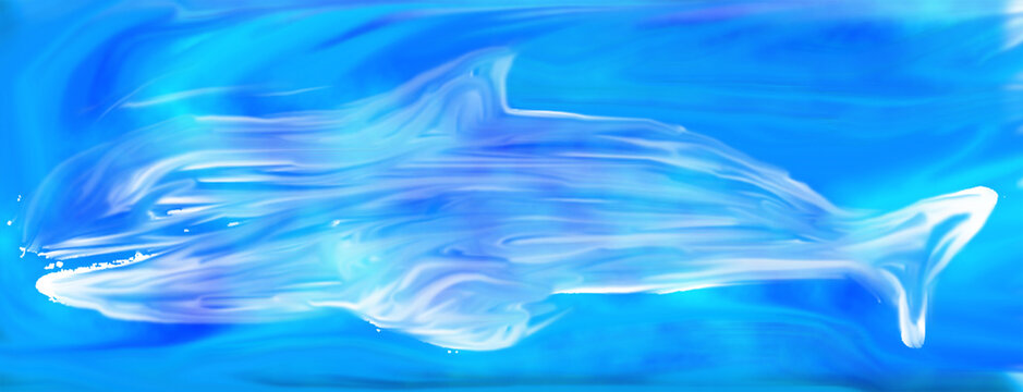 delfin/dolphin