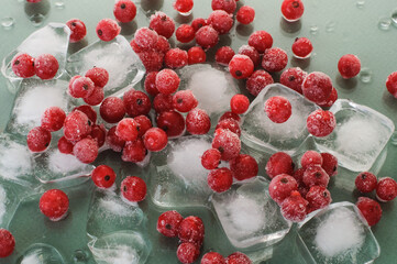 frozen ripe red currant on ice cubes on green background.ingredients for a cold summer drink
