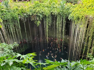 Cenotes en Yucatán México.
