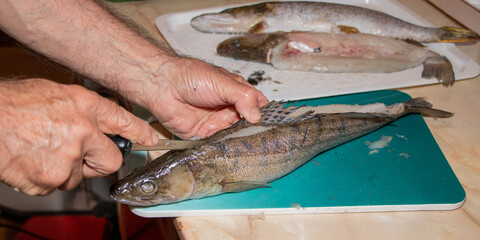 Cutting fish in the kitchen. Hands with a knife cut up fish on cutting board.