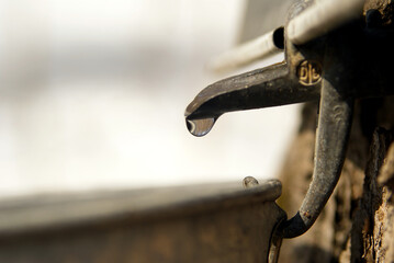 Maple tap 