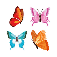 butterflies hand drawn