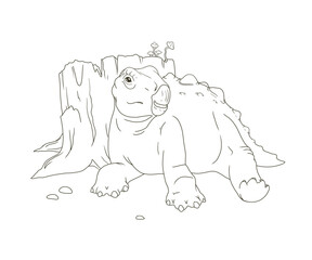 The baby stegosaurus lies down on a tree stump and rests. Picture for coloring.