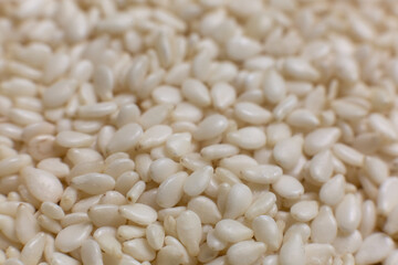 Organic natural white sesame seeds. Closeup til shot for use as background or as texture