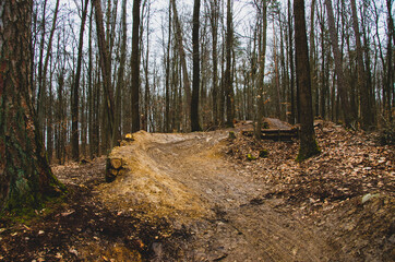 Newly built downhill track in the forest with jumps and narrow curves