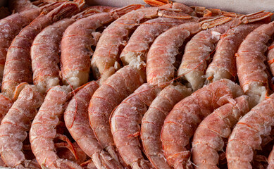 frozen langoustines close-up