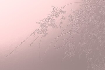 Metallic pink background with 3d processed cherry blossom branches
