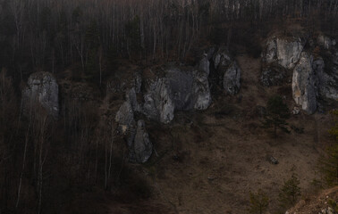 Limestone white rocks in Poland hidden in the forest as seen at sunset