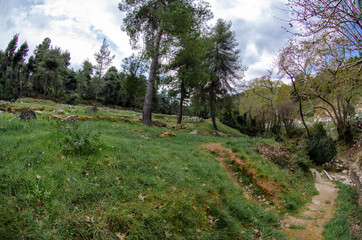 Fototapeta premium The Amphiareion of Oropos Agora view