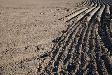 Naklejka premium Row of soil mound, preparing soil for Agricultural field to grow plant.