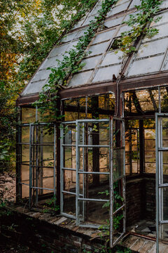 Glass garden house with vines all around