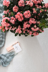 Pink present on a white pattern quilt with a positive message pasted in it "I worth it". A beautiful pink azalea plant is at the top of the image with a great copy space at the bottom.