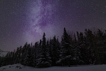 Fototapeta na wymiar Milky way over tall trees in cold weather at night