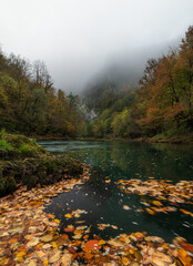 Obraz premium autumn in canyon of river