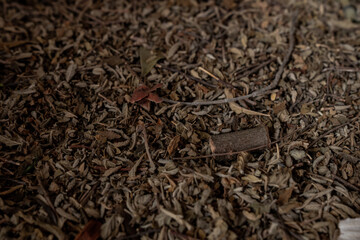 dry leaf tea background