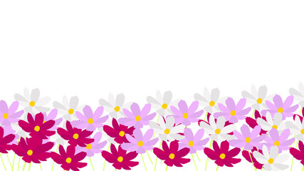 spring flowers border