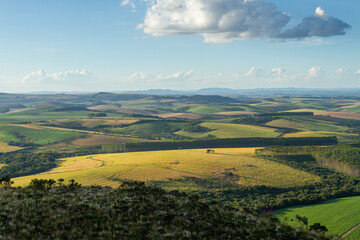 aerial landscape of plantation on farms with blue sky and clouds