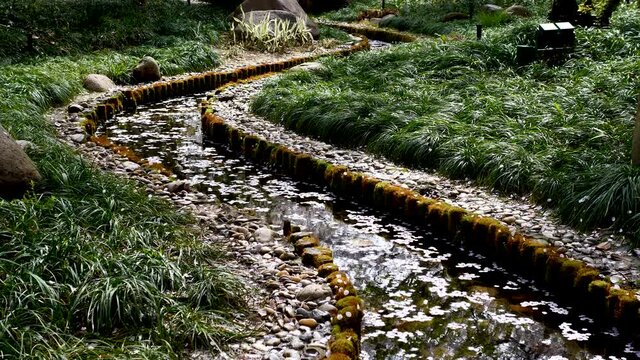 Falling yoshino sakai cherry flowers petals in breeze like raining over stream, beautiful landscape, 4K slow motion footage, b roll shot.