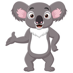 Cartoon happy koala presenting on white background