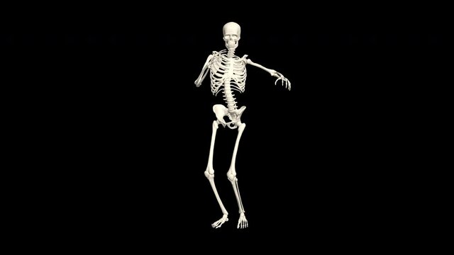 Dancing Skeleton 3D. 3D Skeleton Dance Animation. Skeleton 3D dance. 4K, Transparent background.