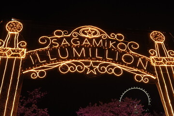 Illumination gate at night in sagamiko lake in Kanagawa Japan.