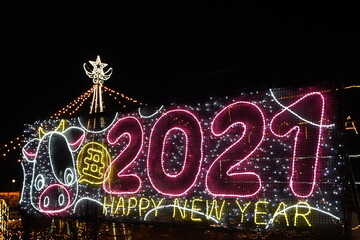 2021 new year illumination with caw at night in Sagamiko lake, Kanagawa, Japan.