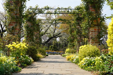 Yellow and white  flowers are blooming besides road at flowers garden park in Japan. March and April in Spring. With Red brick decoration gate.