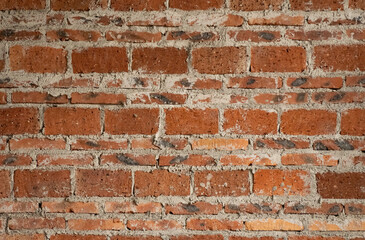 red brick wall at square format as background and texture