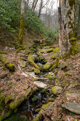 Fototapeta na wymiar mossy stream flowing down a mountain side