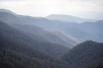 Obraz premium sunset on mountains in the spring fog