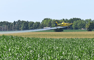 Yellow Crop Duster