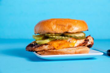 Grilled chicken sandwich with cheese and pickles on a bright blue background