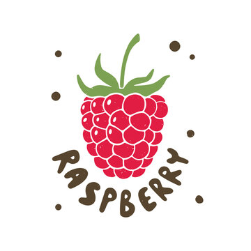 Colorful raspberry illustration with hand drawn lettering isolated on transparent background