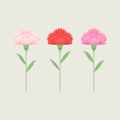 Vector illustration of red and pink carnations.