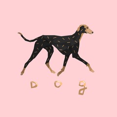 Greyhound dog. Isolated on pink background. Dog breeds. Gold design. Hunting. Home pats, animals, doglover. Vector illustration. Poster, print, sticker, card design.